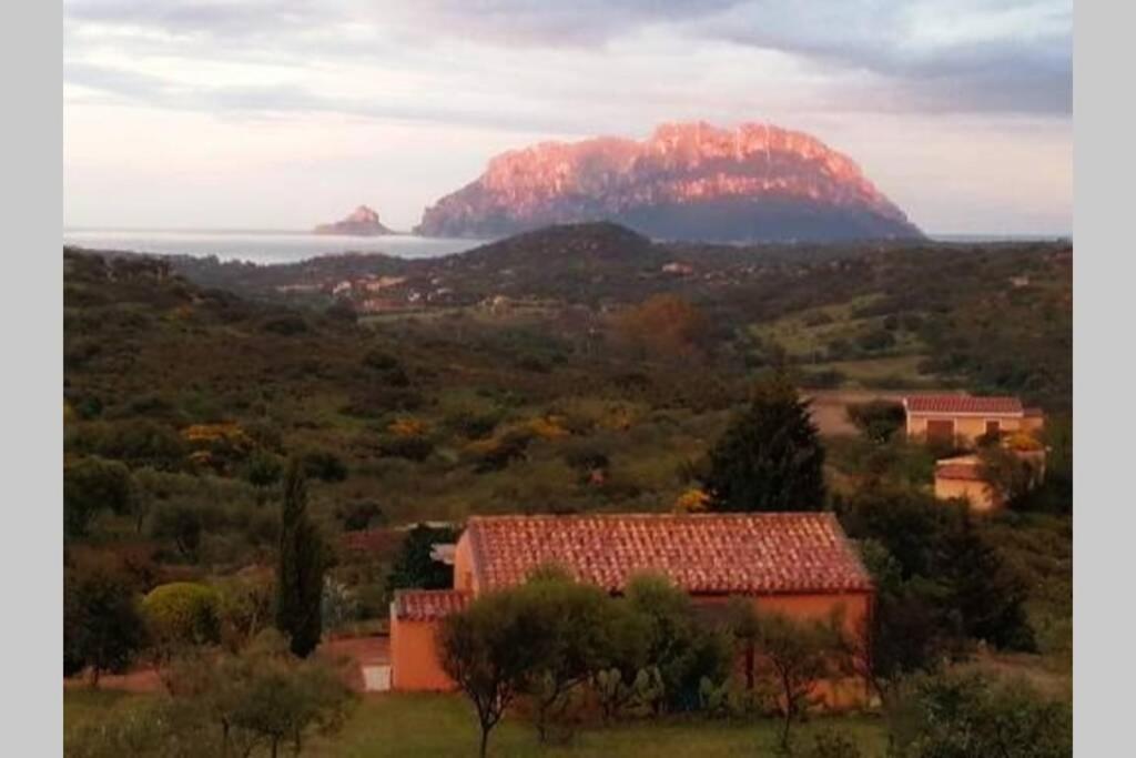Mare E Campagna Villa Murta Maria Exterior foto