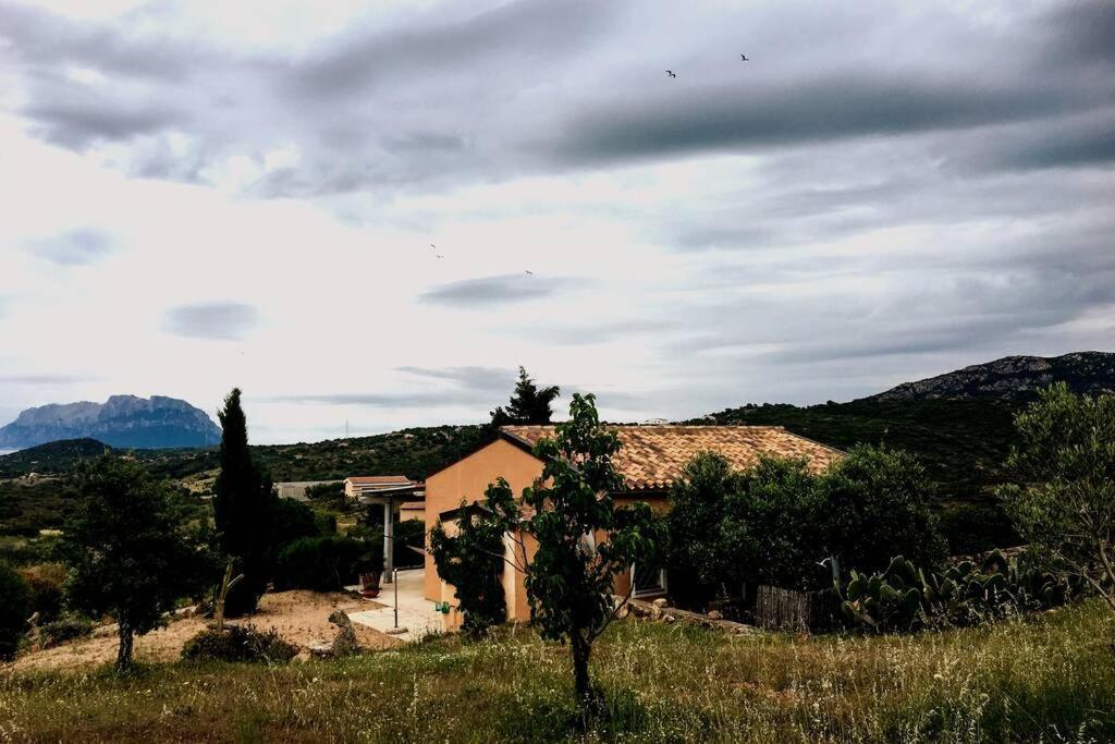 Mare E Campagna Villa Murta Maria Exterior foto